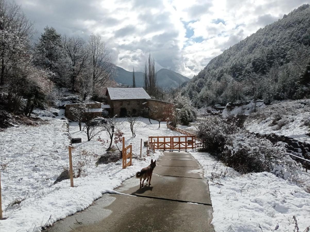 Villa Moli De Dalt La Coma I La Pedra Exterior foto